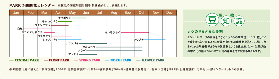 PARK予想開花カレンダー 豆知識 カシのさまざまな役割 セントラルパークの東西をつなぐ白樫の並木道。カシは漢字からもわかるように材質が堅いため建築材などとして用いられます。また常緑樹であるため防風林としても役立ち、生木・生葉が他の木に比べ燃えづらいので火災の延焼を防ぐ役割も果たします。