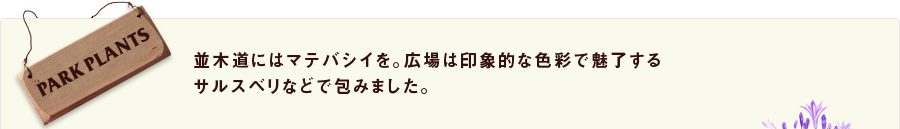 並木道にはマテバシイを。広場は印象的な色彩で魅了するサルスベリなどで包みました。