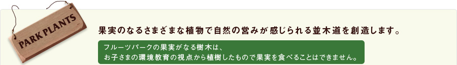 果実のなるさまざまな植物で自然の営みが感じられる並木道を創造します。