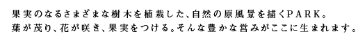 果実のなるさまざまな樹木を植栽した、自然の原風景を描くPARK。葉が茂り、花が咲き、果実をつける。そんな豊かな営みがここに生まれます。