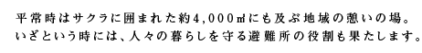 平常時はサクラに囲まれた約4,000㎡にも及ぶ地域の憩いの場。