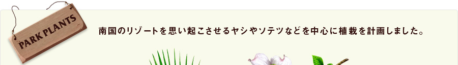 南国のリゾートを思い起こさせるヤシやソテツなどを中心に植栽を計画しました。