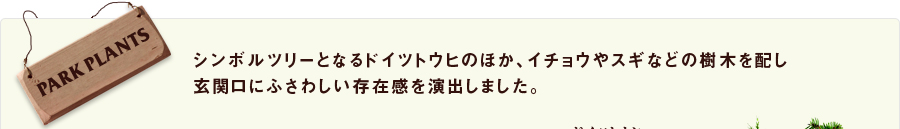 シンボルツリーとなるドイツトウヒのほか、イチョウやスギなどの樹木を配し玄関口にふさわしい存在感を演出しました。