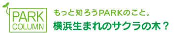 もっと知ろうPARKのこと。横浜生まれのサクラの木？