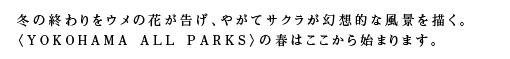 冬の終わりをウメの花が告げ、やがてサクラが幻想的な風景を描く。〈YOKOHAMA ALL PARKS〉の春はここから始まります。