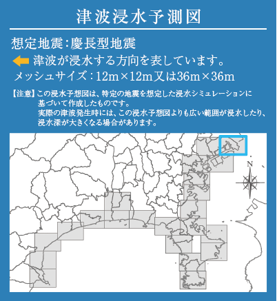 津波浸水予測図