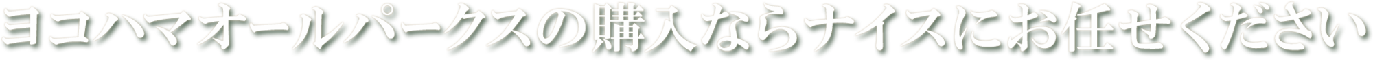 ヨコハマオールパークスの購入ならナイス株式会社にお任せください